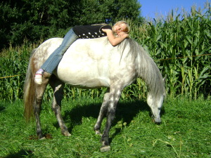 Ponys